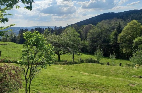 Vagney Cottage | Magnificent cottage, comfort and nature with sauna.