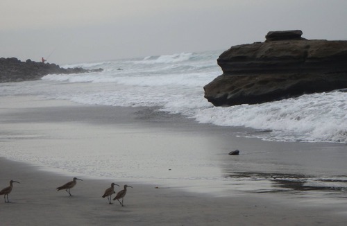 Rosarito Condo | MAGNIFICENT 3 BED/2 BATH BEACH FRONT OASIS 18 MILES SOUTH OF ROSARITO