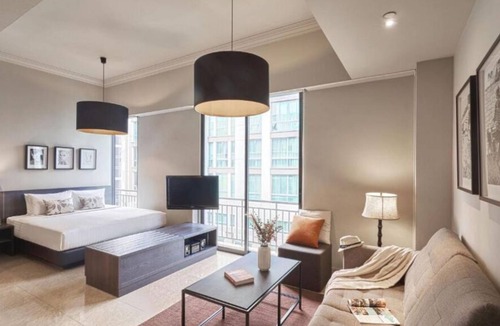 Downtown Singapore Apartment | Magnificent Studio Apartment In Orchard