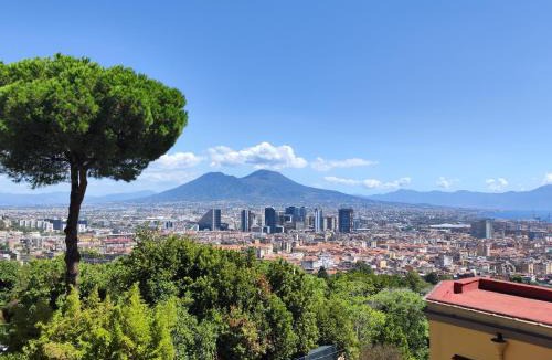 Rione Sanita Apartment | Maioliche e Porcellane