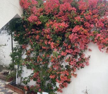Jbal Lahmar Apartment | Maison à El Omrane .