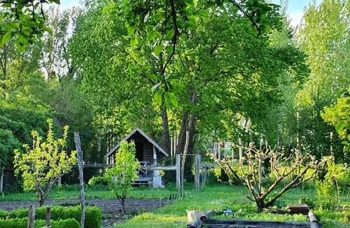 Razines House | Maison Cosy Avec un Grand Jardin Verdoyant