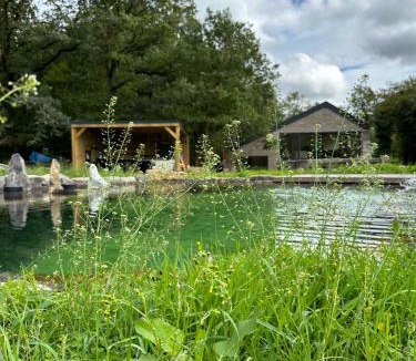 Couvin House | Maison dans les bois