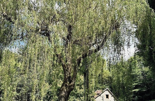 Glos House | Maison DE Campagne Dans UN Parc Arboré DE 1 Hectare À 30 Minutes DE LA MER