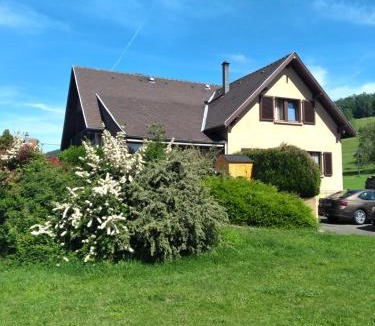 Munster Villa | Maison de charme Haslach 300m2 Grand séjour 15 personnes - Belles vues !