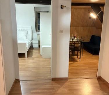 Illkirch-Graffenstaden Apartment | Maison de maitre a Strasbourg illkirch 3 chambres