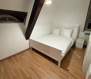 Illkirch-Graffenstaden Apartment | Maison de maitre a Strasbourg illkirch 3 chambres
