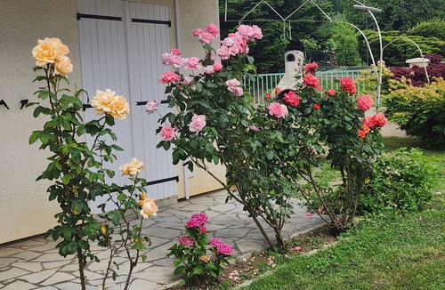 Saint-Amour Villa | Maison de Vacances Parc Privé Clos Parking Gratuit Animaux Acceptés
