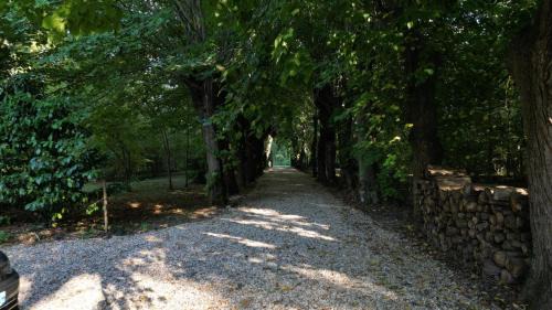Montbarrois Villa | Maison forêt privée & étang 12 pers 5 ch 1h30 Paris