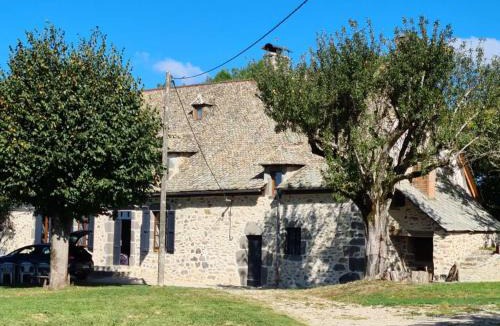 Saint-Martin-Cantales House | Maison typique Auvergnate, piscine et four à pain