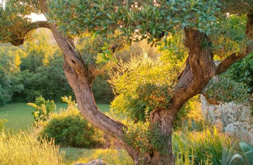 Castera-Lectourois Bed & Breakfast | Maison La Thébaïde