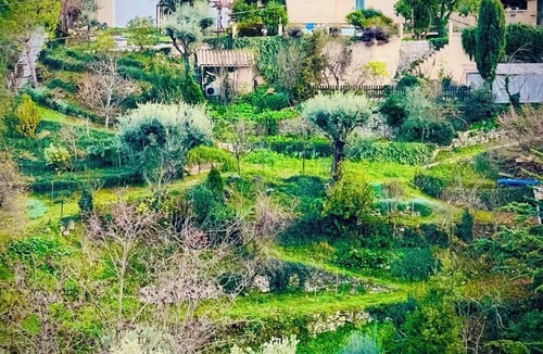 Falicon House | Maison Le Fleur: a haven of peace with swimming pool and garden in the hills above Nice