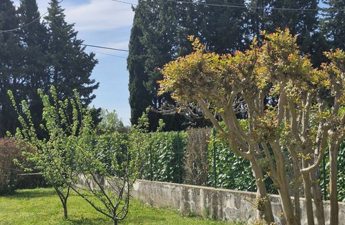 Aubignan House | Maison le murier