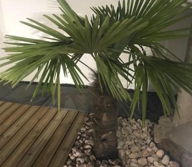 Pignans House | Maison Loubiere