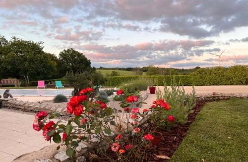 Surin Bed & Breakfast | Maison M