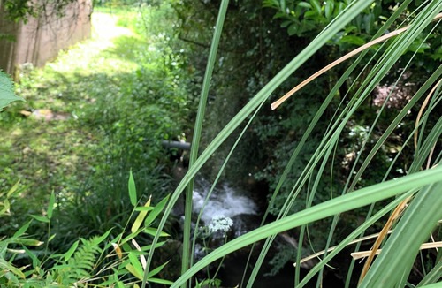 Coutances House | Maison Nichée Dans la Nature, Bordée dun Ruisseau et Proche du Centre Ville