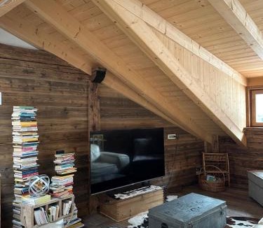 Predazzo Apartment | Maison Perrod Wellness & Outdoor Experience