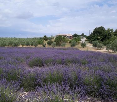 Baudinard-sur-Verdon House | Maison Provence à Baudinard-sur-Verdon