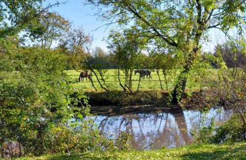 La Ferte-en-Ouche House | Maison restaurée dans élevage de chevaux, WIFI, Animaux admis - FR-1-497-239