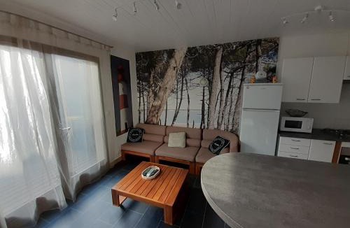 Ronce-les-Bains House | Maison RONCE LES BAINS