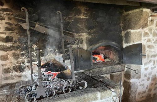 Laprugne House | Maison rustique avec cheminée, jardin et animaux admis à Laprugne - FR-1-489-184