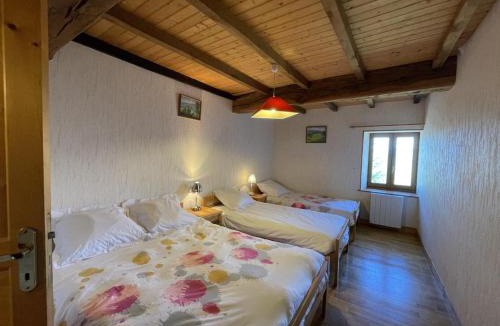 Laprugne House | Maison rustique avec cheminée, jardin et animaux admis à Laprugne - FR-1-489-184