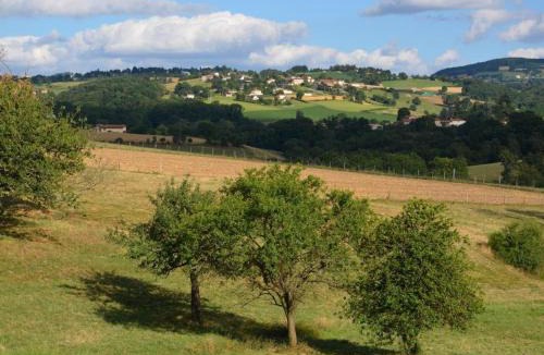 Chamboeuf House | Maison rustique avec jardin à Aveizieux, animaux admis - FR-1-496-175