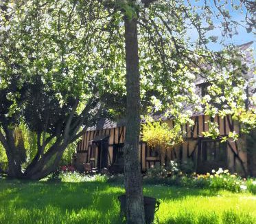 Dame-Marie House | Maison spacieuse et charmante à Dame-Marie avec jardin
