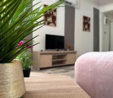 Saint-Junien Apartment | Maison SYD saint-Junien