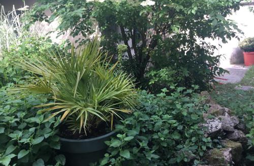 Lauriers-La Musse Bed & Breakfast | Maisonnette Nantes