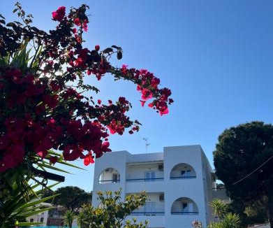 Koukounaries Apartment | Maistrali Studios Skiathos