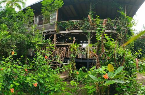 Bahia Solano Hotel | Majagua