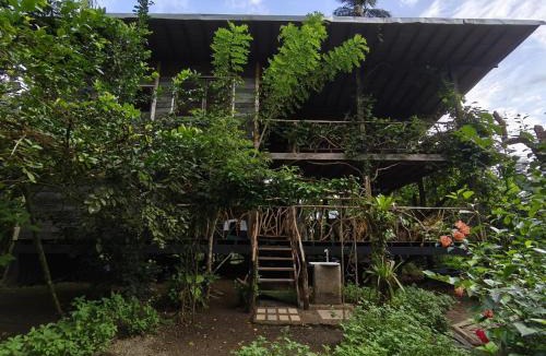 Bahia Solano Hotel | Majagua