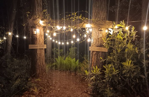 Florida Panhandle Cabin | Malakai campground different by design⛺ little jo cabin wheelchair accessible