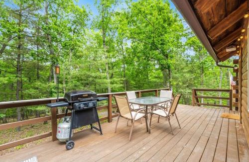 Berkeley Springs House | Mallard Creek Cabin - Firepit - Kitchenette - Large Deck - Gas Grill