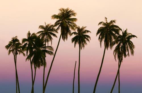 Rote Island Resort | Malole Surf House