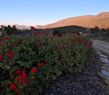 Scheepersrus House | Malvahuis