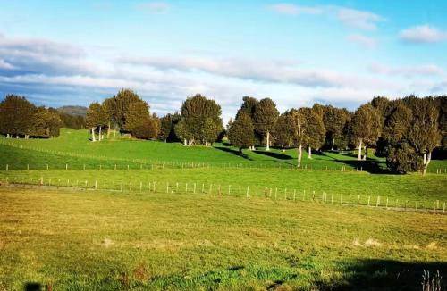 Rotorua Villa | Mamaku Villa