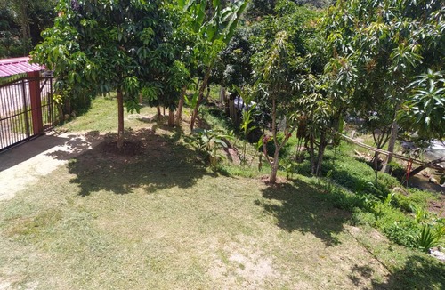 Curiti House | MANANTIAL DE VIDA ETERNA