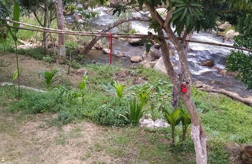 Curiti House | MANANTIAL DE VIDA ETERNA