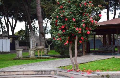Zona XXV Vallerano Hotel | Mancini Park Hotel