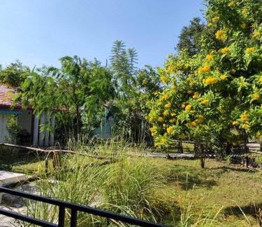 Mohaan House | Mandaal Corbett