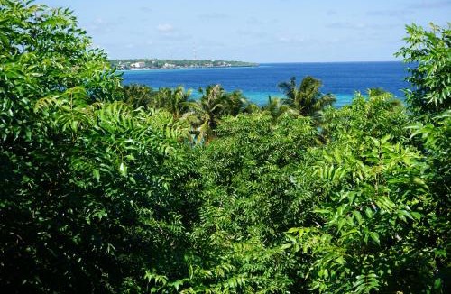 Bira Resort | Mangga Lodge