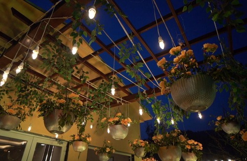 Mohaan Hotel | Mango Bloom River Resort