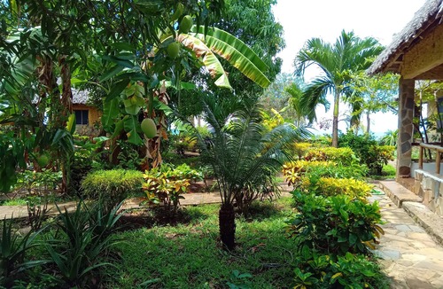 Msambweni Bed & Breakfast | Mango Lodge Msambweni