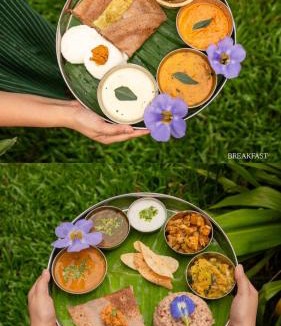 Auroville Villa | Mango Orchards Two