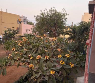Kamalapur House | Mango Tree Homestay