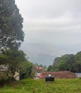 Vattakanal Villa | Mango Tree
