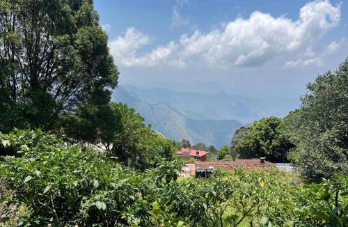 Vattakanal Villa | Mango Tree