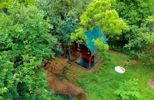 Inamaluwa Hostel | Mango Tree Villa